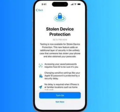 龙滚镇苹果授权维修店分享被盗设备保护功能开启方法 