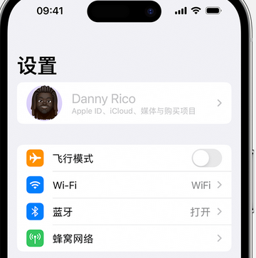 龙滚镇appleID维修服务iPhone设置中Apple ID显示为灰色无法使用 