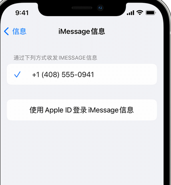 龙滚镇apple维修iPhone上无法正常发送iMessage信息 