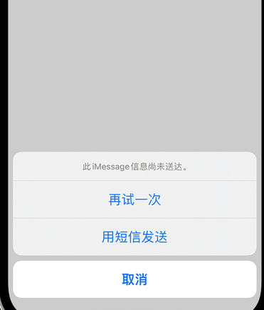 龙滚镇apple维修iPhone上无法正常发送iMessage信息