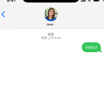 龙滚镇apple维修iPhone上无法正常发送iMessage信息