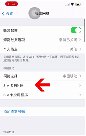 龙滚镇苹果14维修网分享如何给iPhone14的SIM卡设置密码 