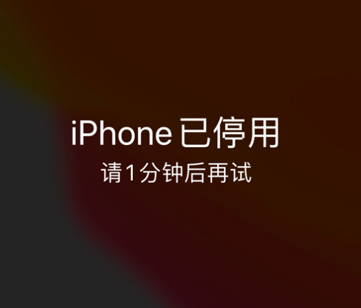 龙滚镇苹果手机维修分享:iPhone 显示“不可用”或“已停用”怎么办？还能保留数据吗？ 