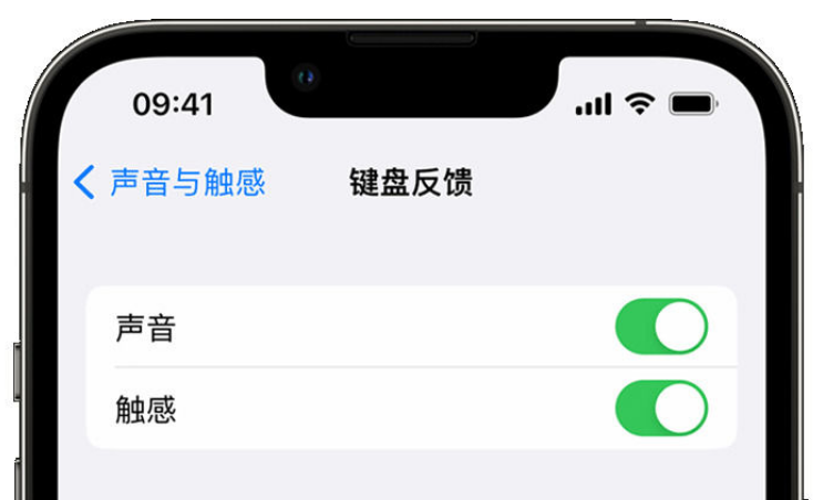 龙滚镇苹果手机维修分享iPhone 14触感键盘使用方法 