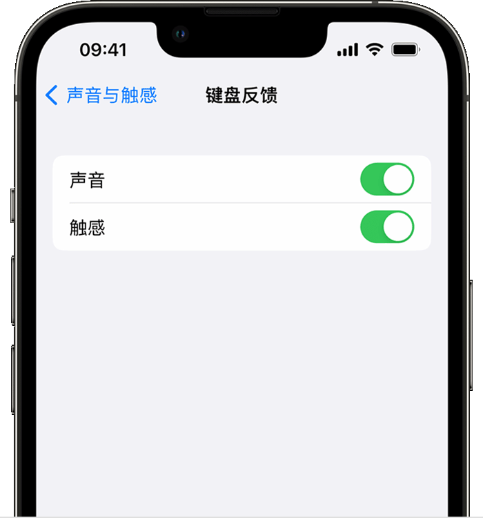 龙滚镇苹果14维修店分享如何在 iPhone 14 机型中使用触感键盘 