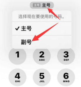 龙滚镇苹果14维修店分享iPhone 14 Pro Max使用副卡打电话的方法 