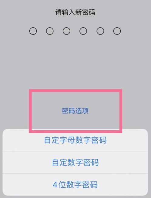 龙滚镇苹果14维修分享iPhone 14plus设置密码的方法 