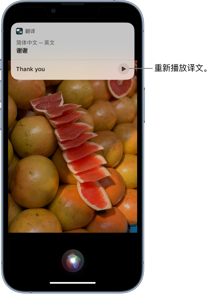 龙滚镇苹果14维修分享 iPhone 14 机型中使用 Siri：了解 Siri 能帮你做什么 