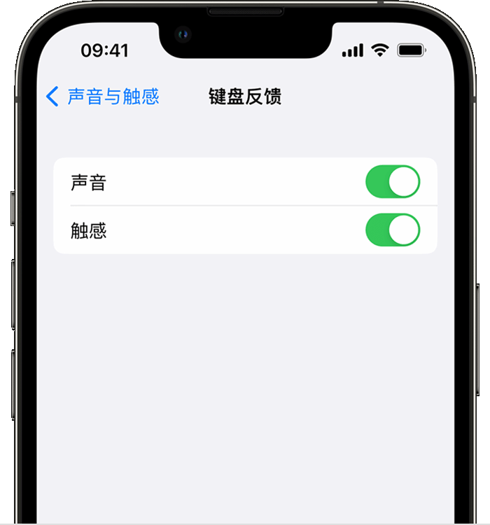 龙滚镇苹果14维修分享iPhone 14 系列机型如何开启键盘声音或触感反馈 