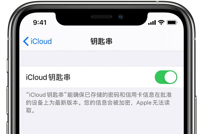 龙滚镇苹果手机维修分享在 iPhone 上开启 iCloud 钥匙串之后会储存哪些信息 