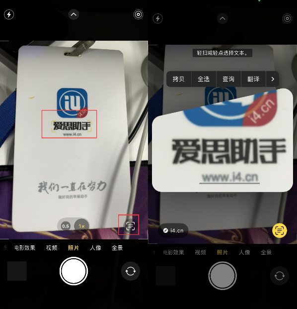 龙滚镇苹果手机维修分享升级iOS 16后如何通过相机翻译文本 