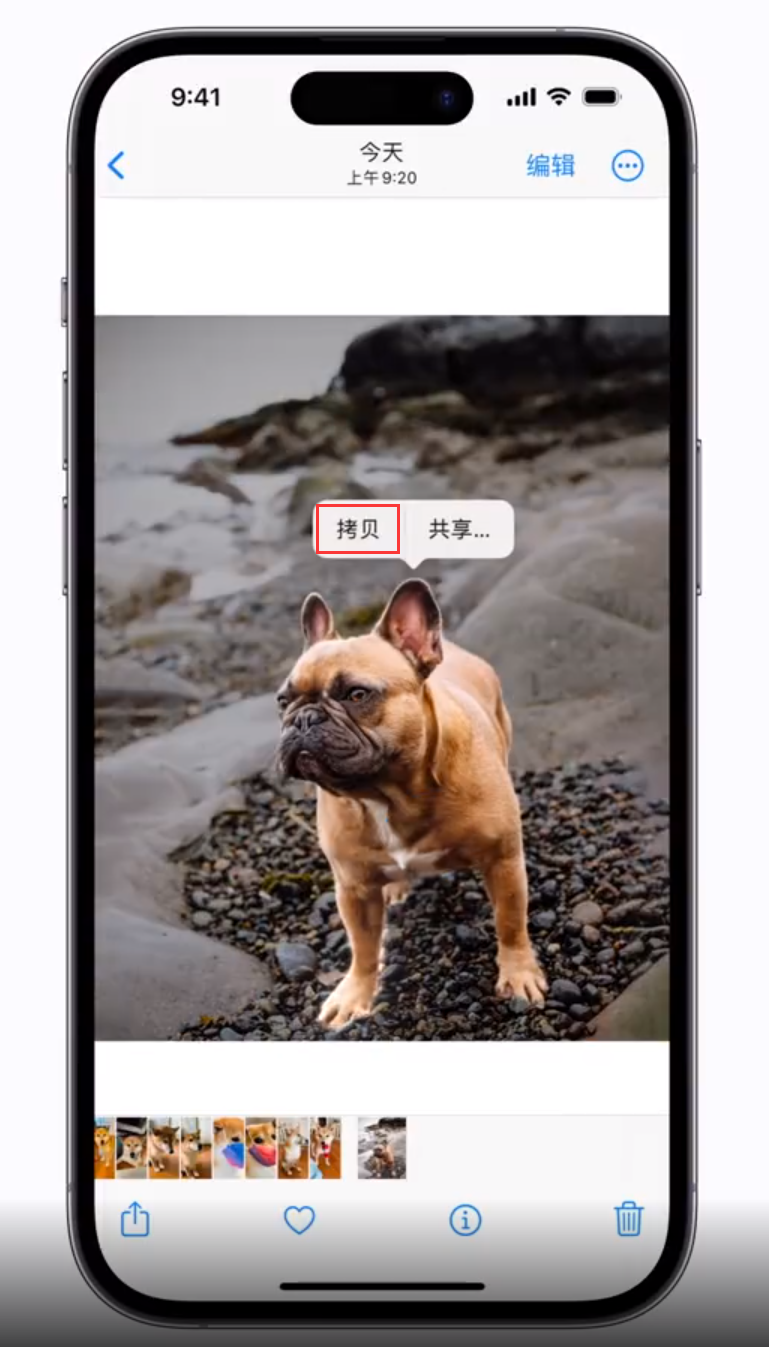 龙滚镇苹果手机维修分享 iOS 16 自带一键抠图功能 