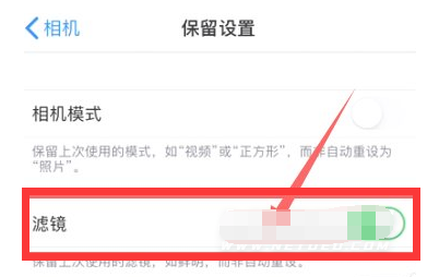 龙滚镇苹果13维修分享iPhone13拍照有绿点是怎么回事 