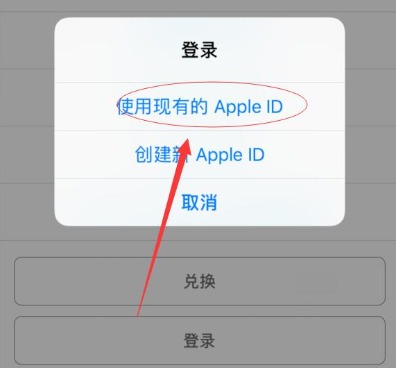 龙滚镇苹果手机维修分享两台iPhone设备可以同时登录一个Apple ID吗 