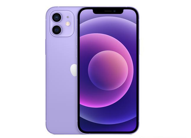 龙滚镇苹果手机维修分享现阶段要不要入手紫色版iPhone12 
