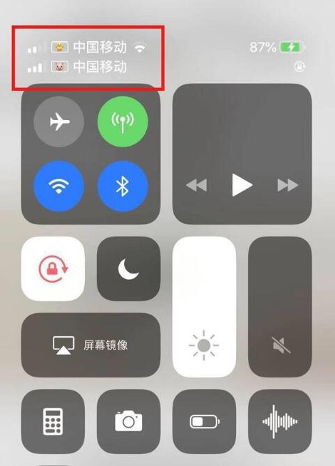 龙滚镇苹果手机维修分享为 iPhone 12 双卡设置标签 