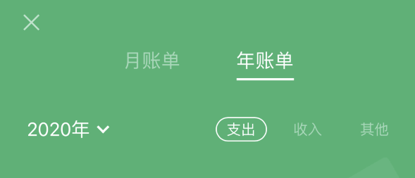 龙滚镇苹果手机维修分享如何在 iPhone 上查看支付宝和微信年支出账单 