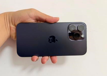 龙滚镇苹果维修点分享iPhone 14 Pro Max黑屏少见故障盘点 